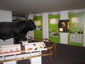 Exposition La vache ! - Jardin des Sciences Dijon 150313 (2)