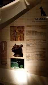 Exposition Les animaux d'Egypte ancienne Muséum 070315 (11)