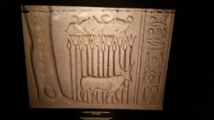 Exposition Les animaux d'Egypte ancienne Muséum 070315 (5)