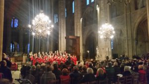 concert-de-chants-de-noel-cathedrale-111216-3