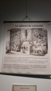 Exposition Nouvelles curiosités Médiathèque 280919 (17)